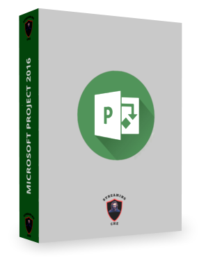 Microsoft Project 2016