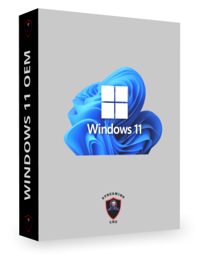 Windows 11 OEM