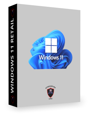 Windows 11 RETAIL